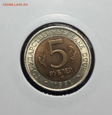 5 рублей 1991 года РЫБНЫЙ ФИЛИН Красная книга СССР До 13.10 - 20241010_191220
