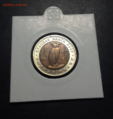 5 рублей 1991 года РЫБНЫЙ ФИЛИН Красная книга СССР До 13.10 - 20241010_191159