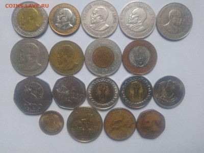 ФИКС Монеты Африки №1 до 11.10.2025 22-00 мск - Африка №1 2