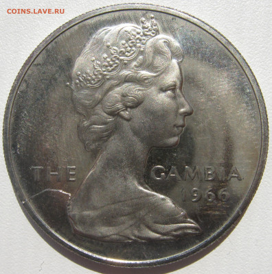 Гамбия (британская) 2 шиллинга 1966 африканский домашний бык - IMG_3160.JPG