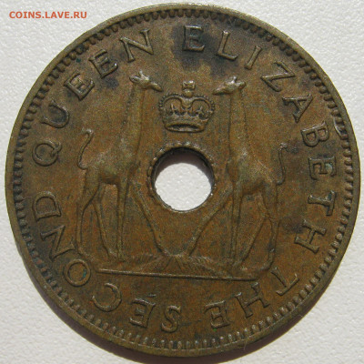 2 пенни 1964 жирафы до 11.10. - IMG_3170.JPG