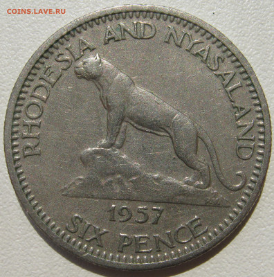 Родезия и Ньясаленд 6 пенсов 1957 леопард на скале до 11.10. - IMG_3176.JPG