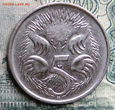 Австралия 5 центов 1993 года до 13.10.2025 - IMG_20251007_221833