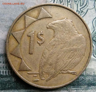 Намибия 1 доллар 1996 года до 13.10.2025 - IMG_20251007_230837