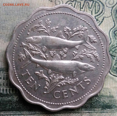 Багамы 10 центов 1985 года до 13.10.2025 - IMG_20251006_214737