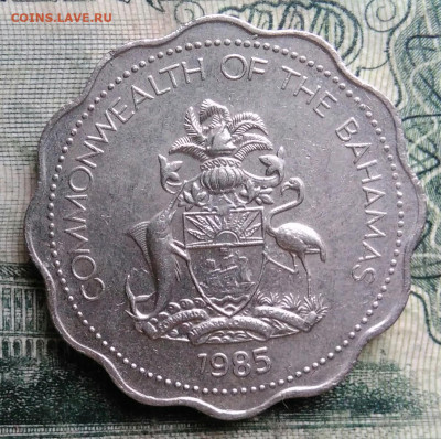 Багамы 10 центов 1985 года до 13.10.2025 - IMG_20251006_214753
