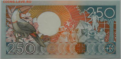 Суринам 250 гульденов 1988 г. до 14.10.25 - DSCN7835.JPG
