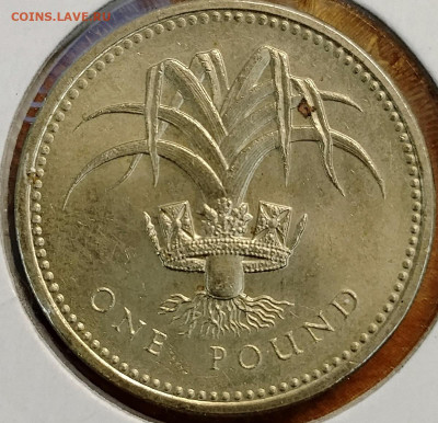 Великобритания 1 фунт 1985 до 11.10 - IMG_20251008_181059_056