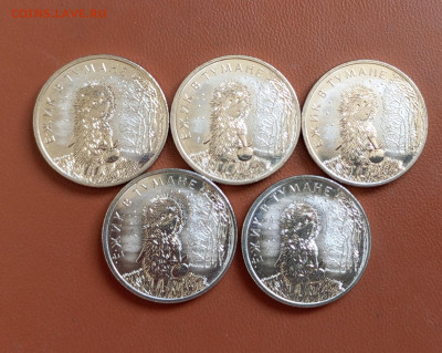 25р.Ëжик.5шт.До 12.10.22:00 - 1759828916144