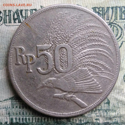 Индонезия 50 рупий 1971 года до 13.10.2025 - IMG_20251008_193405