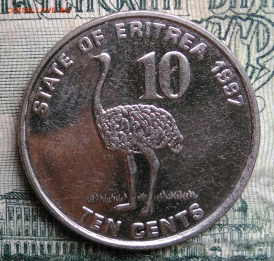 Эритрея 10 центов 1997 года до 13.10.2025 - IMG_20251008_190537