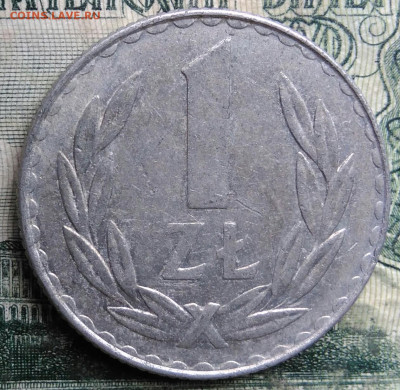 Польша 1 злотый 1981 года до 13.10.2025 - IMG_20251008_190048