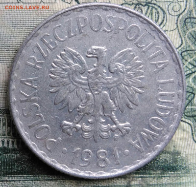 Польша 1 злотый 1981 года до 13.10.2025 - IMG_20251008_190105