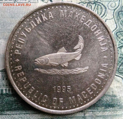 Македония 2 денара 1995 года до 13.10.2025 - IMG_20251007_225301