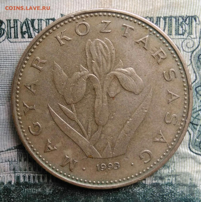 Венгрия 20 форинтов 1993 года до 13.10.2025 - IMG_20251008_201757