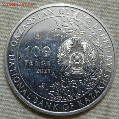 Казахстан 100 тенге 2021 - Кулан - по фиксу - P1420374.JPG