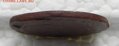 Денга 1770 ЕМ гурт гладкий до 12.10 в 22.00 - DSCN4497.JPG