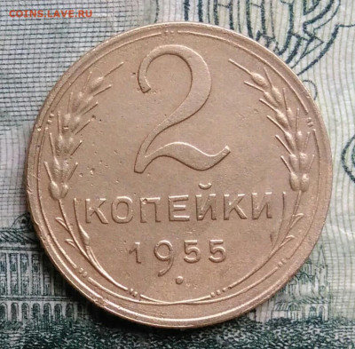 2 копейки 1955 года до 13.10.2025 - IMG_20251006_200021