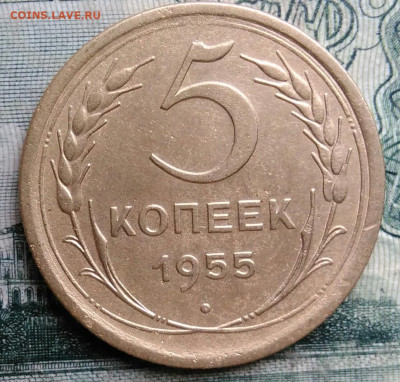 5 копеек 1955 года до 13.10.2025 - IMG_20251006_212028