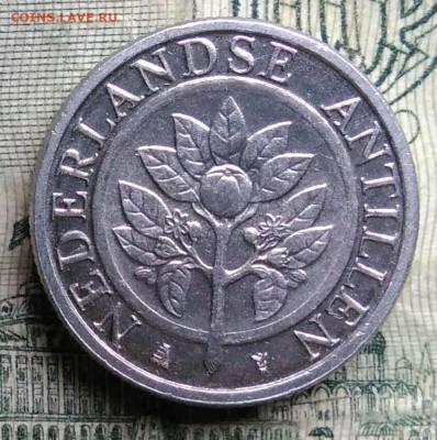 Антильские острова 5 центов 2016 года до 13.10.2025 - IMG_20251006_194747