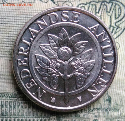 Антильские острова 10 центов 2016 года до 13.10.2025 - IMG_20251006_194824