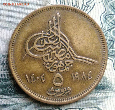 Египет 5 пиастров 1984 года до 13.10.2025 - IMG_20251006_212427