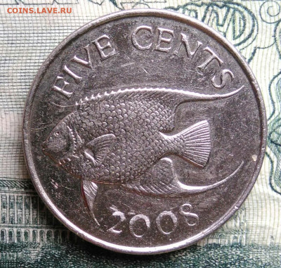Бермуды 5 центов 2008 года до 13.10.2025 - IMG_20251006_012054