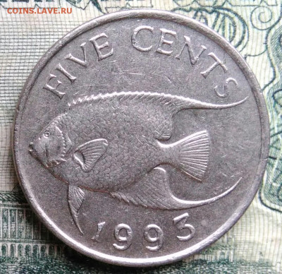 Бермуды 5 центов 1993 года до 13.10.2025 - IMG_20251006_014350