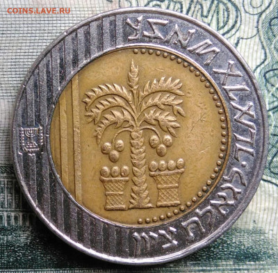 Израиль 10 шекелей 1995 года до 13.10.2025 - IMG_20251006_011811