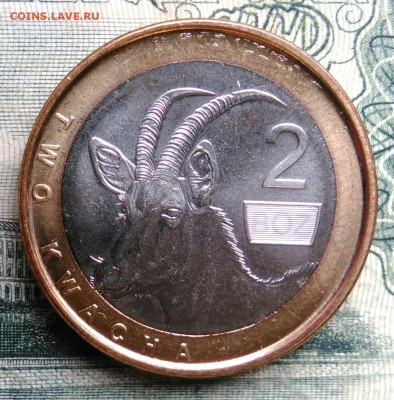 Замбия 2 квача 2024 года до 13.10.2025 - IMG_20251006_011303