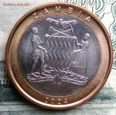 Замбия 2 квача 2024 года до 13.10.2025 - IMG_20251006_011324