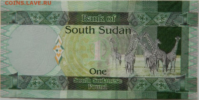 Южный Судан 1 фунт 2011 г. до 16.10.25 - DSCN8011.JPG