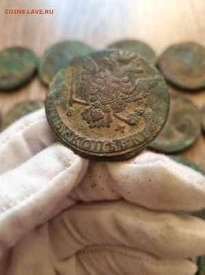 5 копеек Екатерина 2 Подоговка кладовые до 15.10.2025 в 22:0 - photo1720459774 (6)