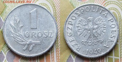 Польша 1 грош 1949  до 17-10-25 в 22:00 - Польша 1 грош 1949    240-к186-8309