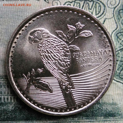 Колумбия 200 песо 2023 года до 13.10.2025 - IMG_20251006_004802