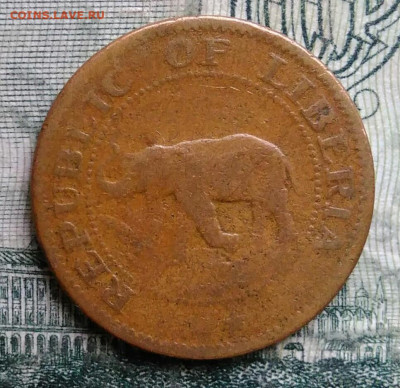 Либерия 1 цент 1960 года до 13.10.2025 - IMG_20251007_224844