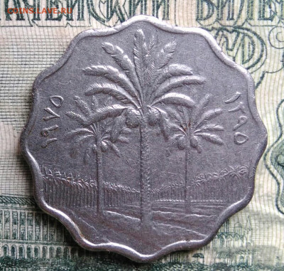 Ирак 5 филсов 1975 года до 13.10.2025 - IMG_20251008_185706