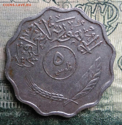 Ирак 5 филсов 1975 года до 13.10.2025 - IMG_20251008_185721