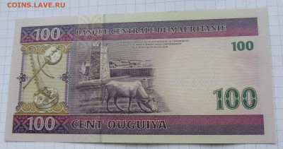 Мавритания 100 угий 2008 до 15.10.2025 - Мавритания 100 угий.JPG