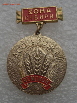 Знак Чемпион Зона Сибири ДСО Урожай до 17.10 22-00 - SDC10607.JPG