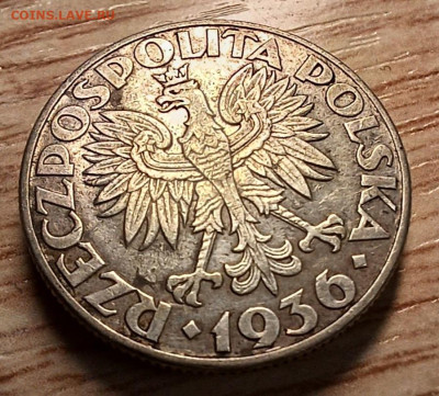2 злотых 1936 до 18.10.25 - 20251010_164655