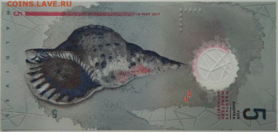 Мальдивские острова 5 руфий 2017 г. (Полимер) до 19.10.25 - DSCN7892.JPG