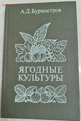 "ЯГОДНЫЕ КУЛЬТУРЫ" 17.10.25. 22:00 МСК - IMG_20251013_221150_edit_1322744712456225