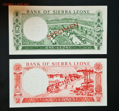 Сьерра-Леоне 1 и 2 леоне 1964-1970 образцы - IMG_20251014_110949_edit_680907389564834