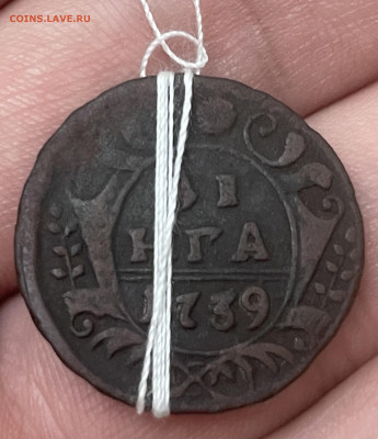 Денга 1739 года, сносность 30-35 гр. До 17.10 - IMG_6029