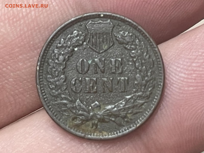 США 1 цент 1906 года, до 17.10 - IMG_6035