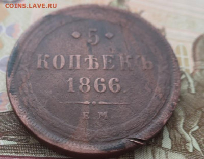 Семь медных имперских монет. - 8