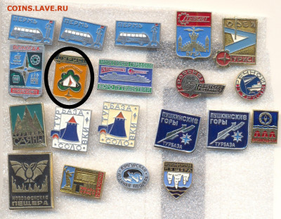 шт (1) - По 20 руб - 1