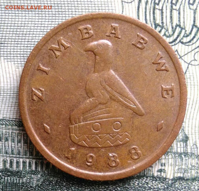 Зимбабве 1 цент 1988 года до 20.10.2025 - IMG_20251015_005324
