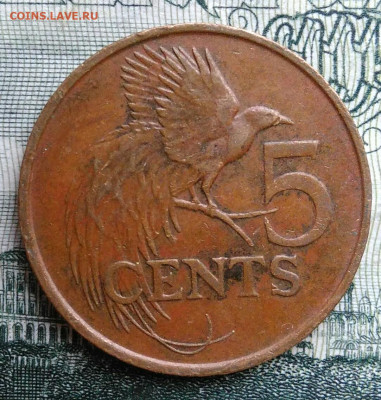Тринидад и Тобаго 5 центов 1995 года до 20.10.2025 - IMG_20251015_201222